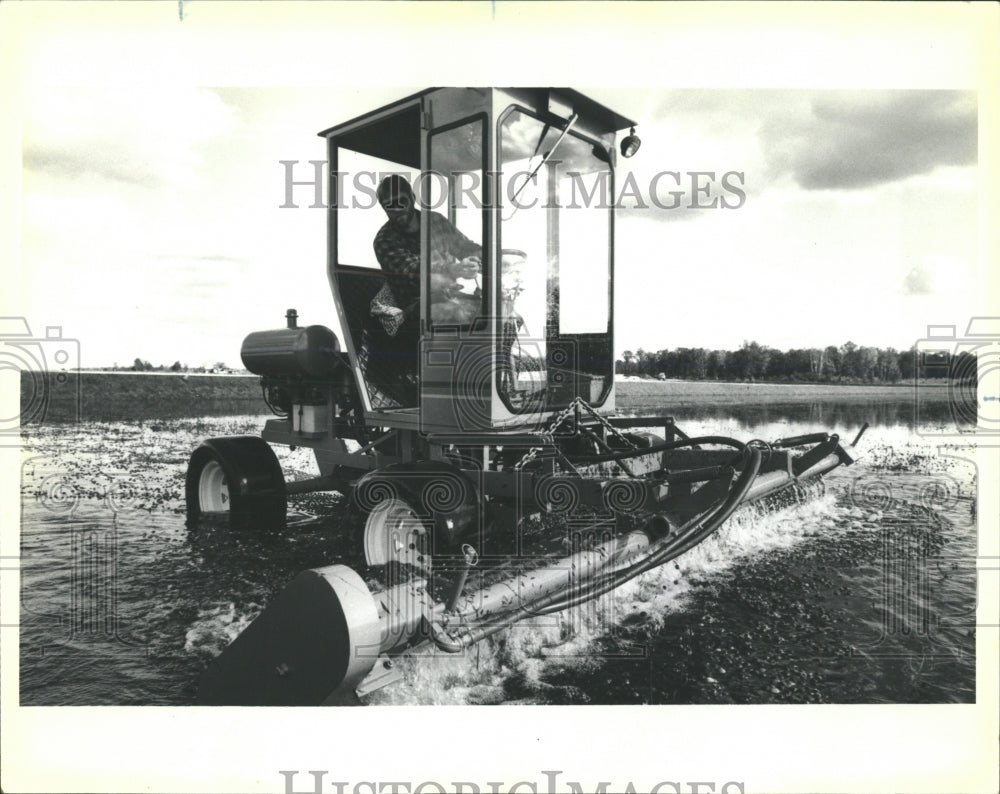 1986 Press Photo Cranberry Harvest - RRW53105 - Historic Images