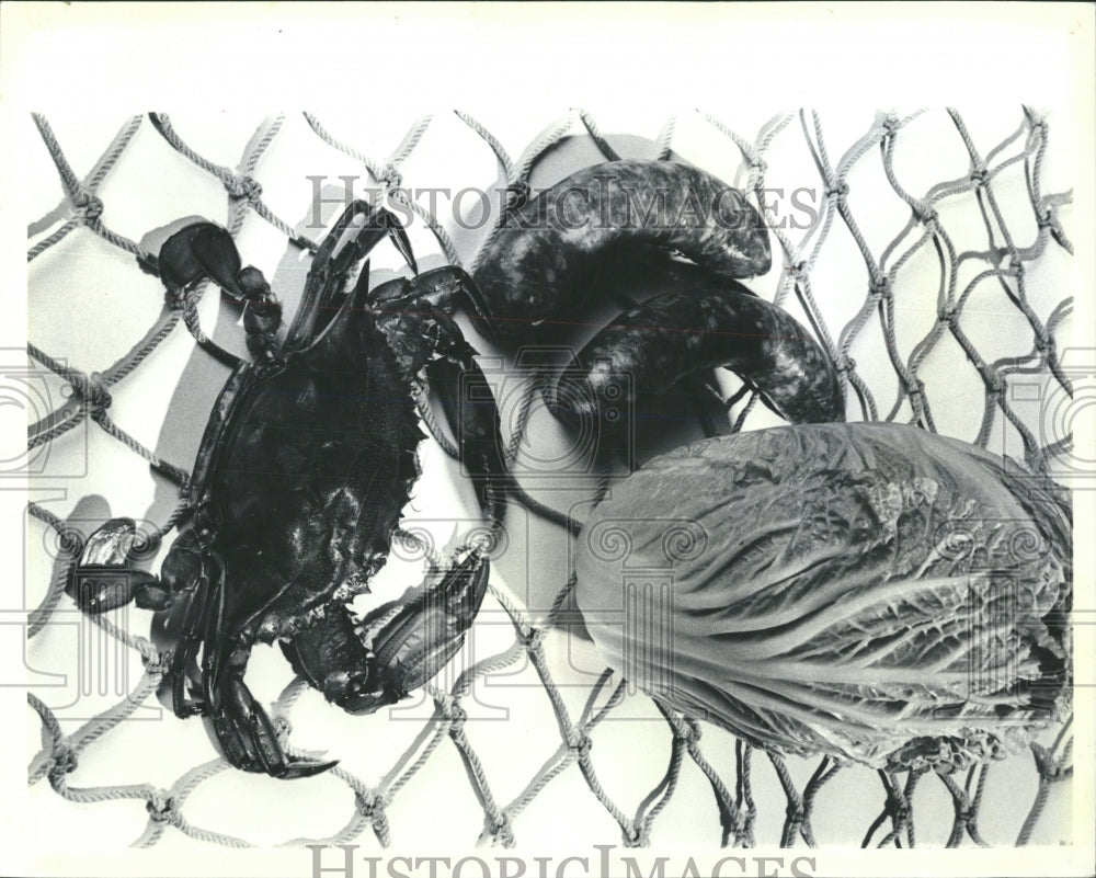 1986 Press Photo Crabs Are In Season - RRW53125 - Historic Images