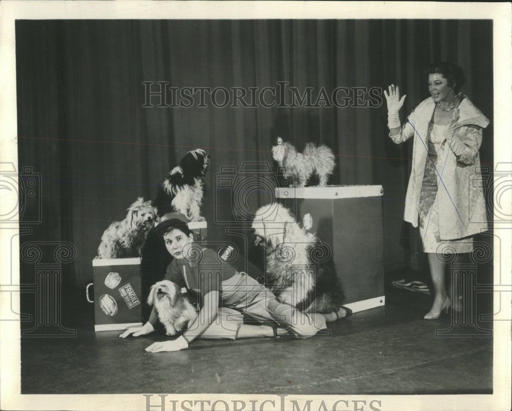 1962 Press Photo Chicago International Trade Fair - RRW53423 - Historic Images