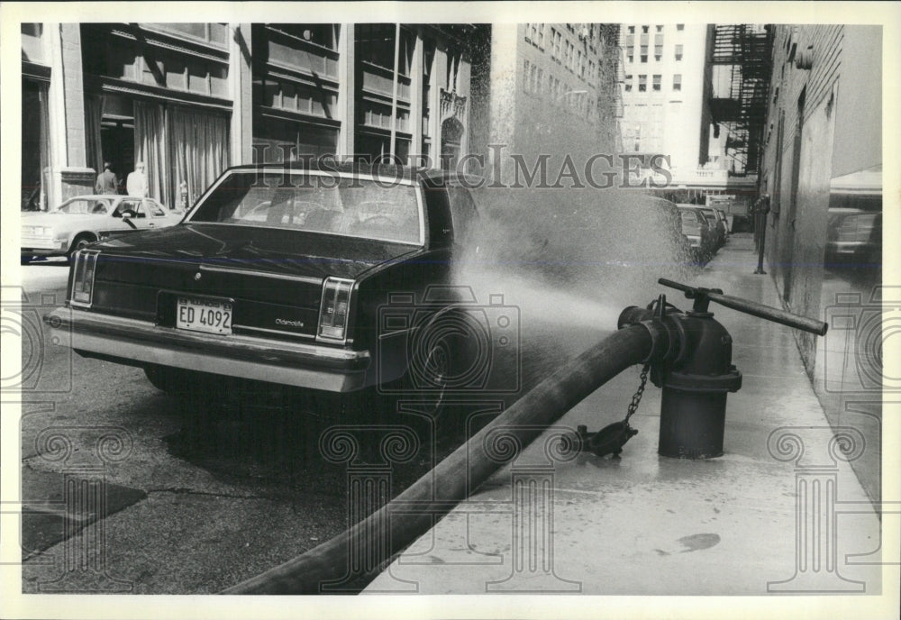 1981 Press Photo Fire Hydrants - RRW53705 - Historic Images