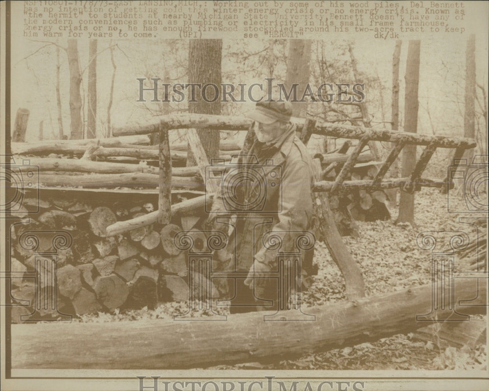 1973 Press Photo Man Cutting Tree Firewood Michigan - RRW53919 - Historic Images