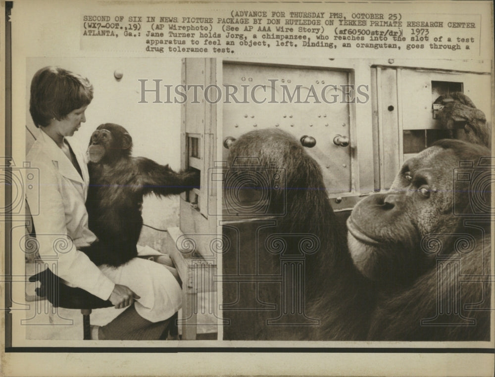 1973 Press Photo Yerkes Primate Research Center - RRW54511 - Historic Images