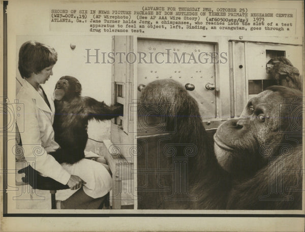 1973 Press Photo Yerkes Primate Research Center - RRW54511 - Historic ...