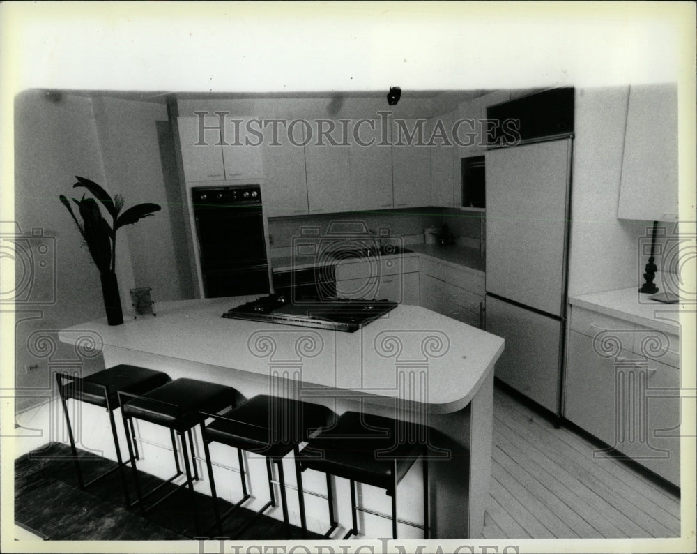 1987 Press Photo Exterior Home Living Room Black White - RRW55477 - Historic Images