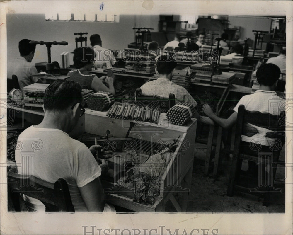 1964 Press Photo Handmade Cuban Cigar Miami - RRW56119 - Historic Images