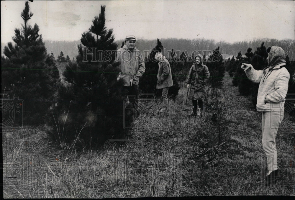 1959 Press Photo Gilbert Family enjoys picking tree - RRW56427 - Historic Images