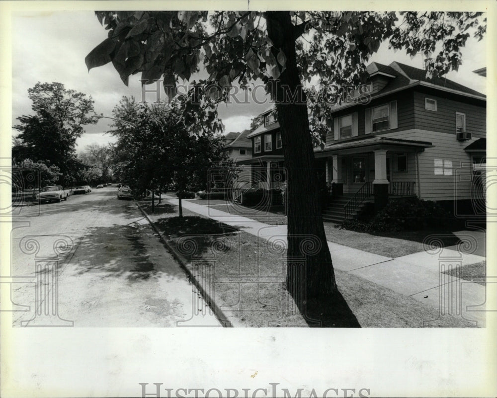 1982 Press Photo Lawndale Ave., Residential Street - RRW56583 - Historic Images
