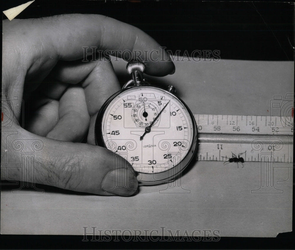 1954 Press Photo Chapman Westinghouse Laboratory - RRW57769 - Historic Images