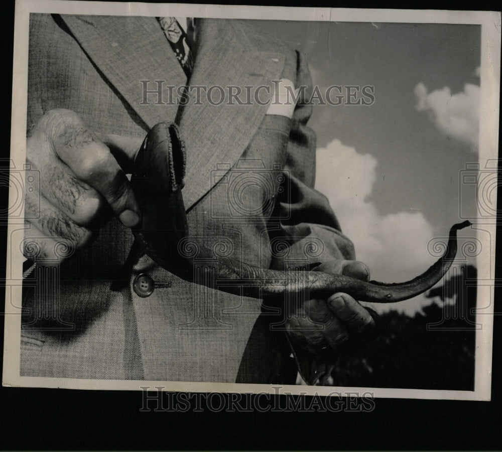 1949 Press Photo Sea lamprey Lake Michigan trout scant - RRW58415 - Historic Images