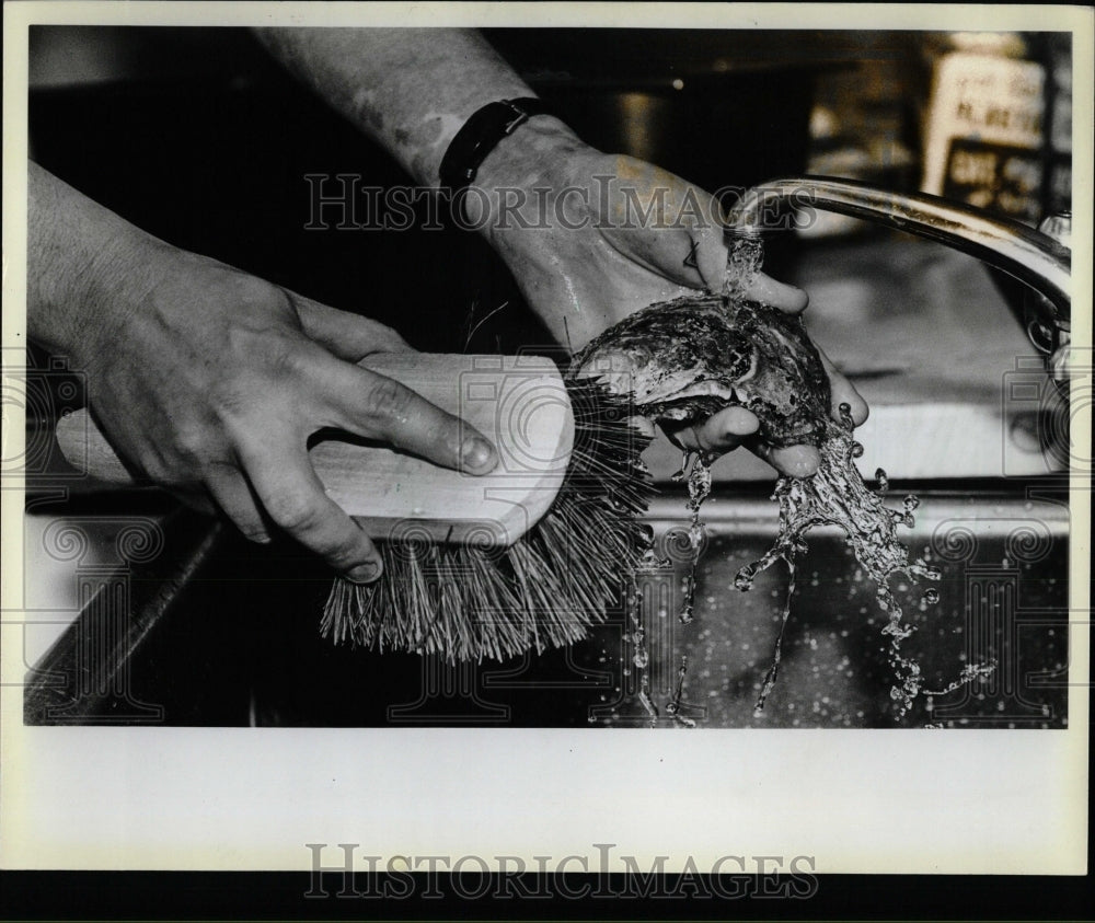 1983 Press Photo Oyster Dish Mother Day - RRW58437 - Historic Images