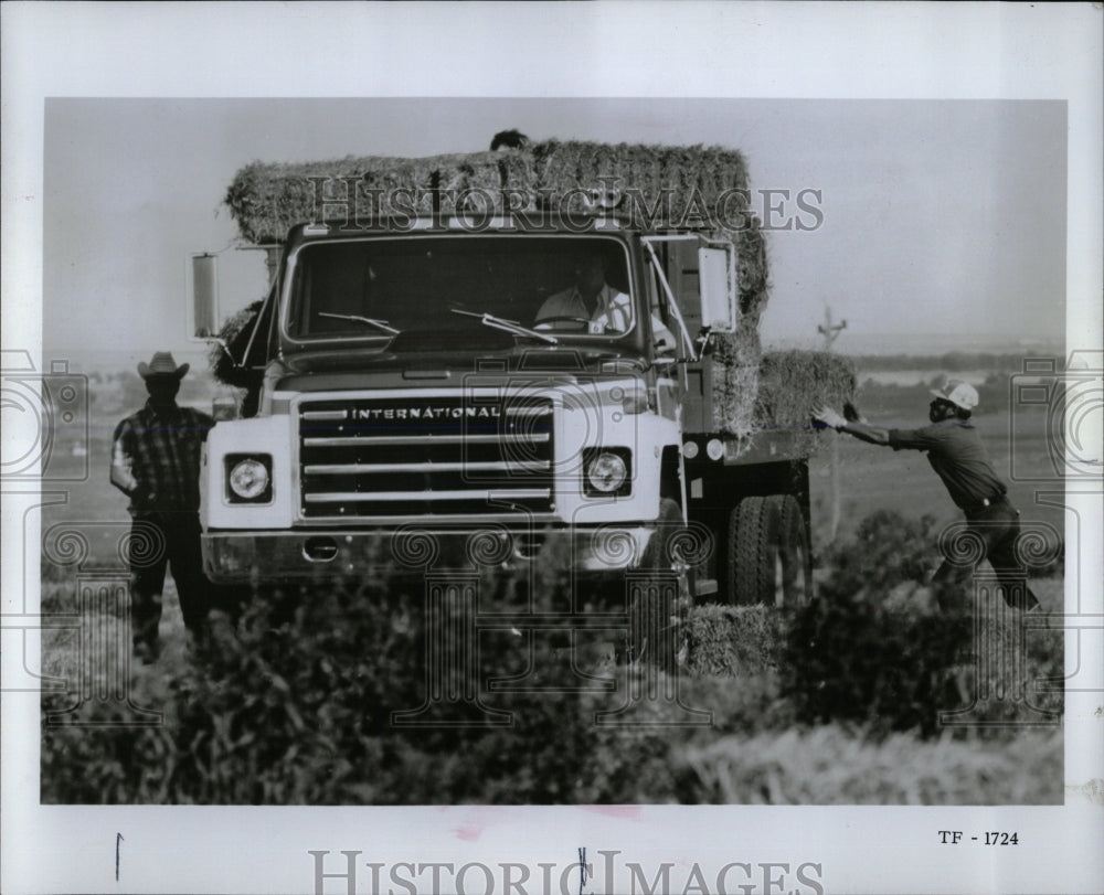 1978 Press Photo TRUCK FLAT-BED BALE HAULER HARVESTER - RRW59601 - Historic Images