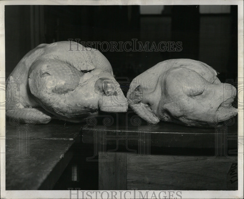 1956 Press Photo Turkey examination at Board of Health - RRW59685 - Historic Images