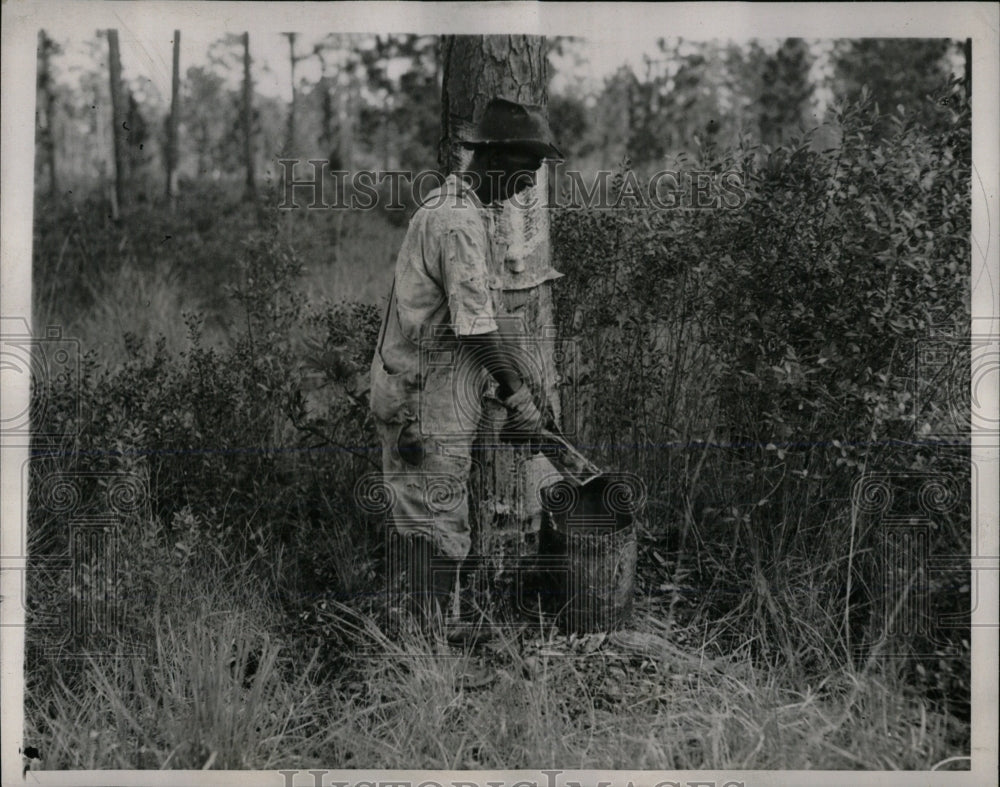 1938 Press Photo sap collector Trees Southern Industry - RRW60139 - Historic Images