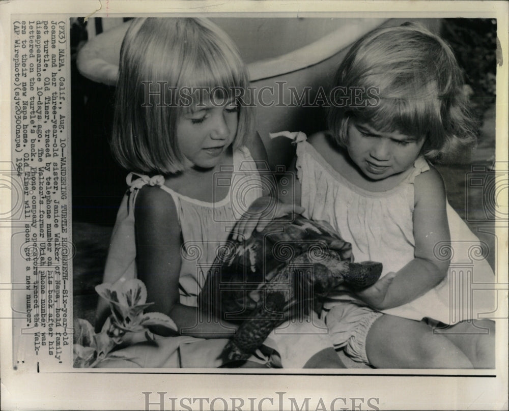 1964 Press Photo Janice Walker Joanne turtle Ukiah - RRW60179 - Historic Images