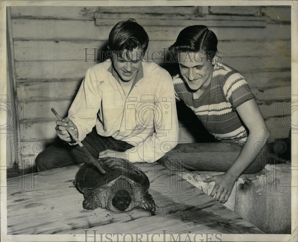 1957 Press Photo William Sudol Thomas Zaremba Turtle - RRW60189 - Historic Images