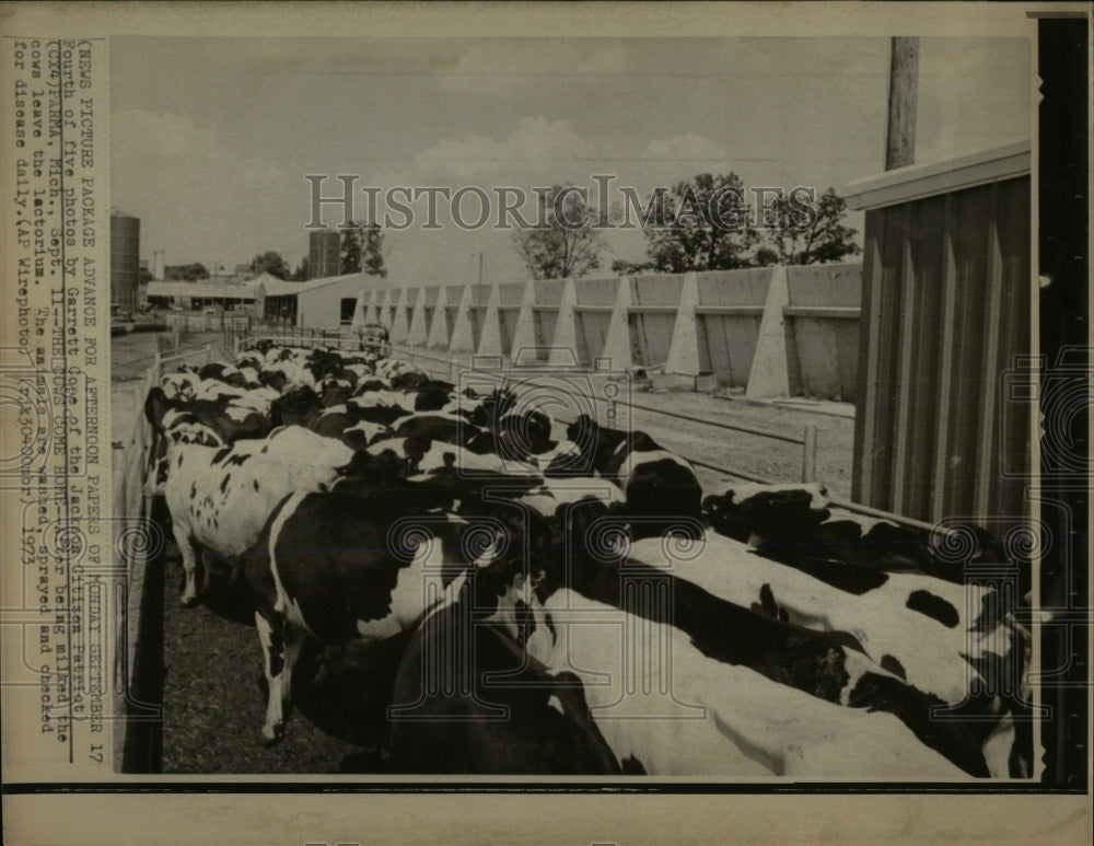 1973 Press Photo Cow milked leave lactorium dairy palnt - RRW60399 - Historic Images