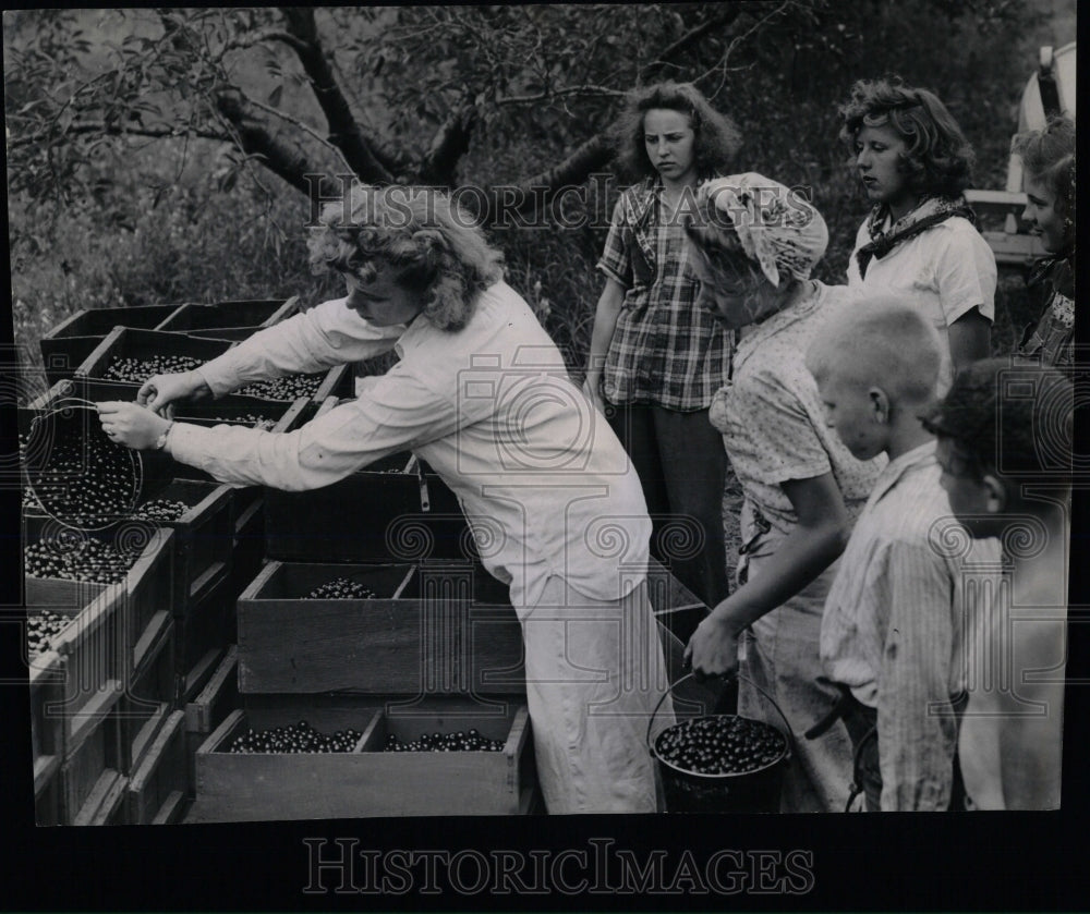 1944 Press Photo Lillian Stephenson Records Numbers - RRW60953 - Historic Images