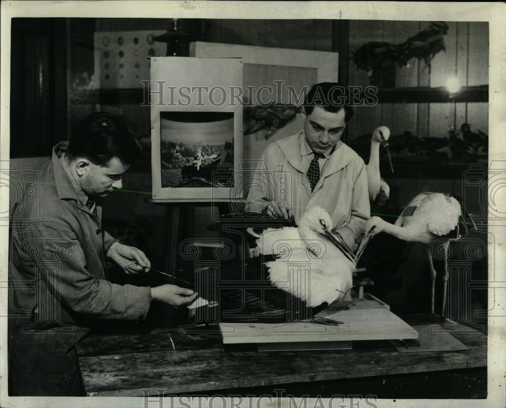 1937 Press Photo Field Museum Natural History Labs - RRW61699 - Historic Images