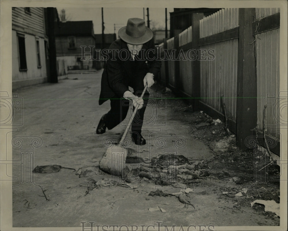 1952 Press Photo Rat Soon Worth Radioactive Material - RRW62127 - Historic Images