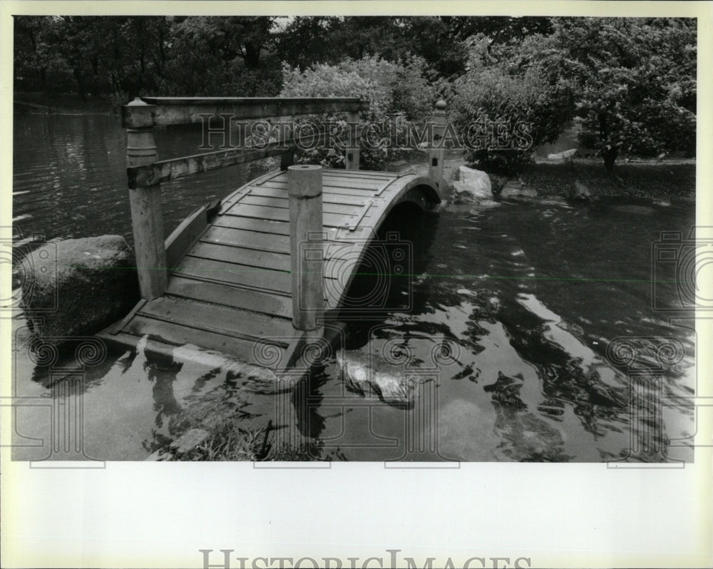 1980 Press Photo Litter Water Jackson Park - RRW62349 - Historic Images