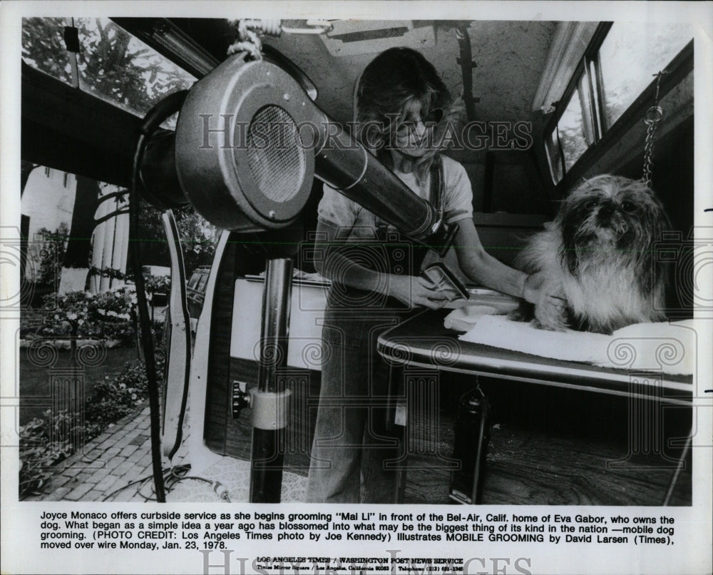 1978 Press Photo Joyce Monaco Grooms Dog Home Eva Gabor - RRW62399 - Historic Images