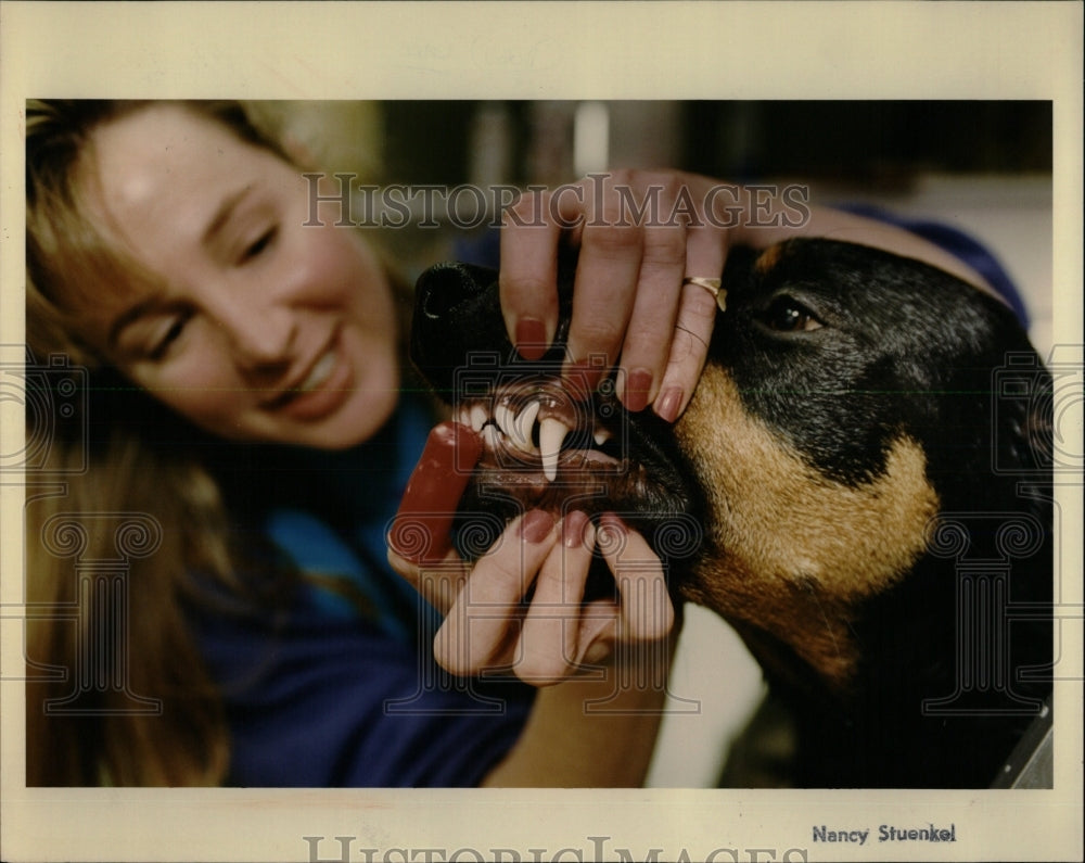 1993 Press Photo Melissa Cook brushing teeth of lucky - RRW62403 - Historic Images