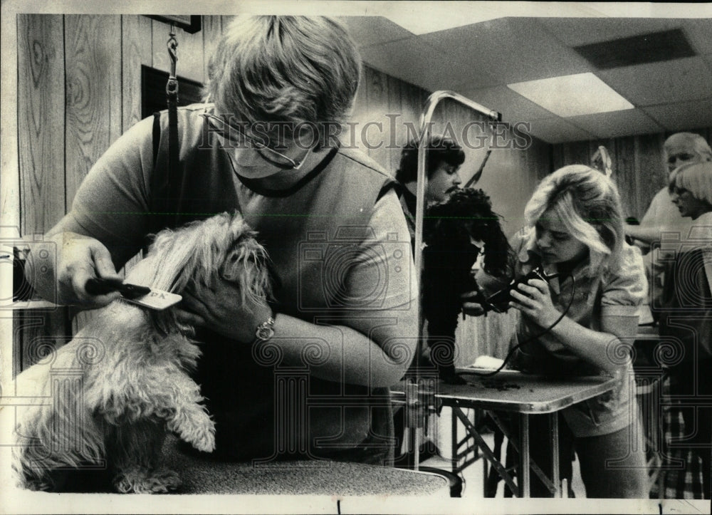 1977 Press Photo Midwest School Dog Grooming Kieronski - RRW62411 - Historic Images