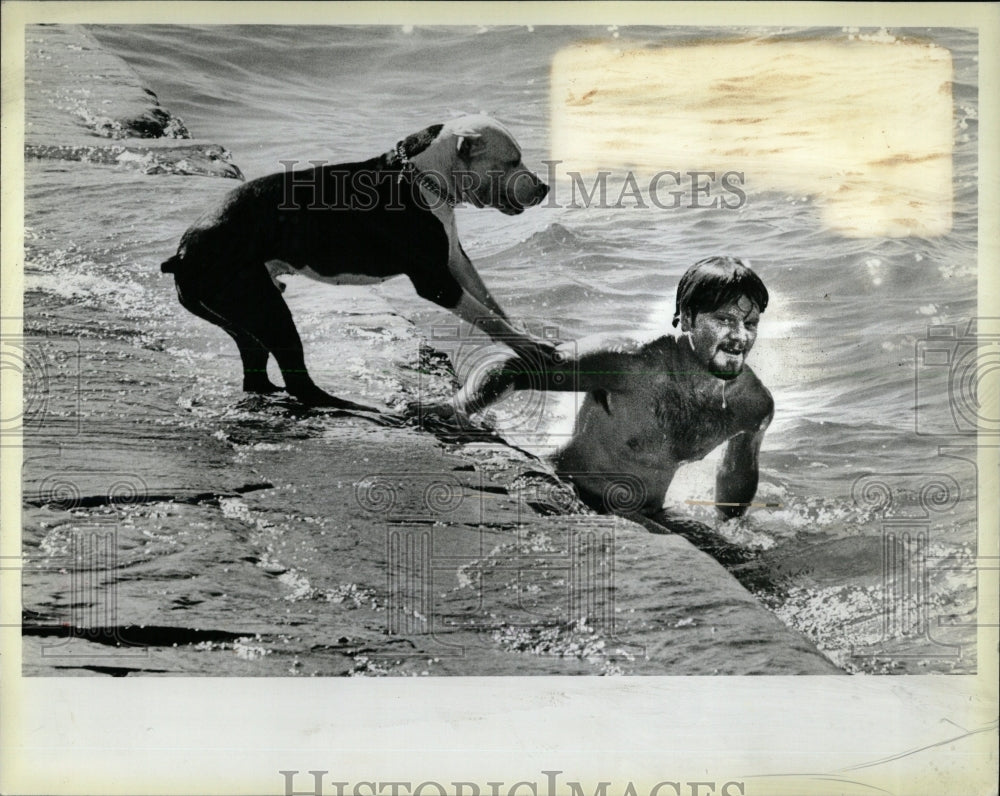 1984 Press Photo Casper Pit Bull Terrior Swim Lesson - RRW62425 - Historic Images