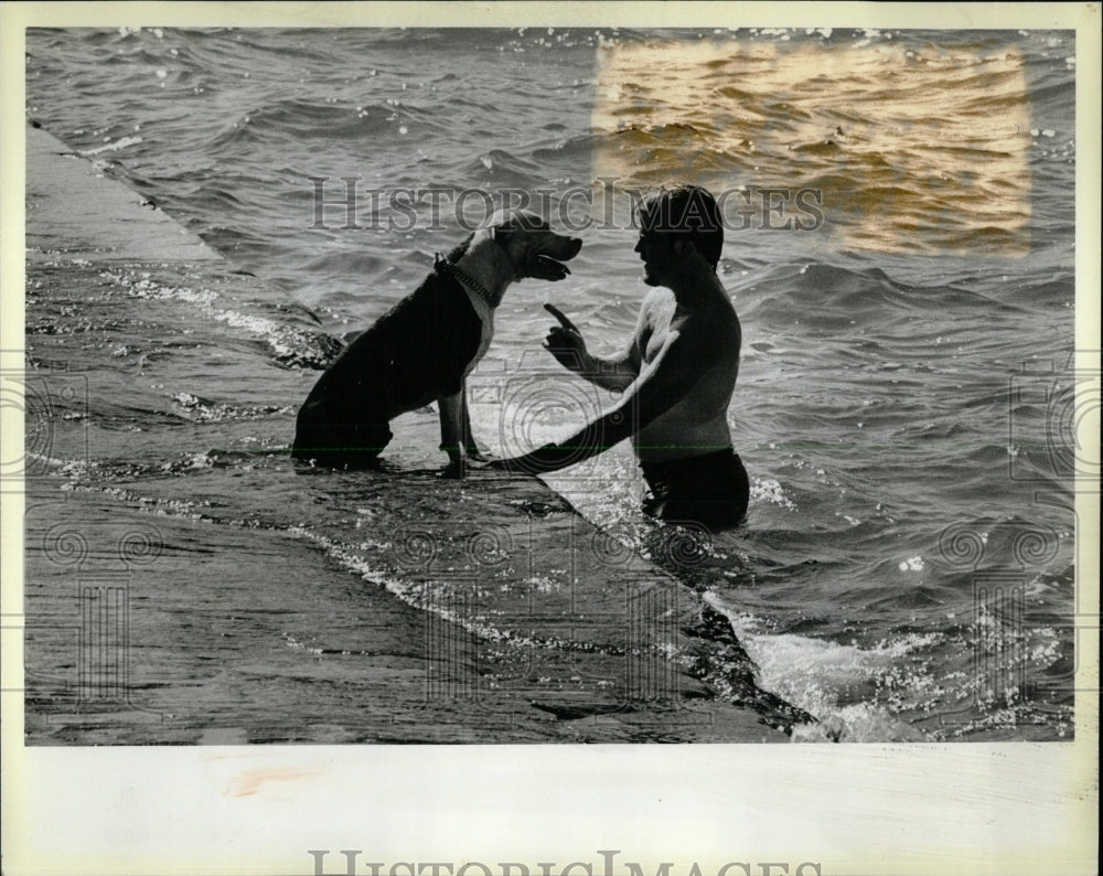 1984 Press Photo Caspar Dogs Swimming Training - RRW62429 - Historic Images