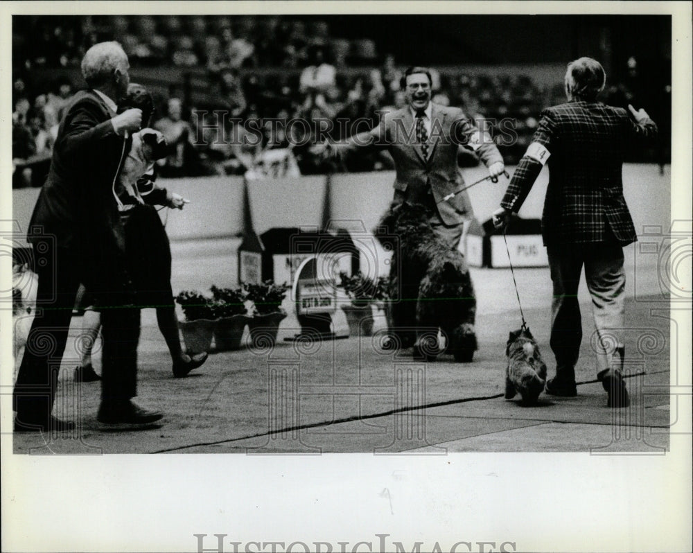 1982 Press Photo Dog Shows - RRW62449 - Historic Images