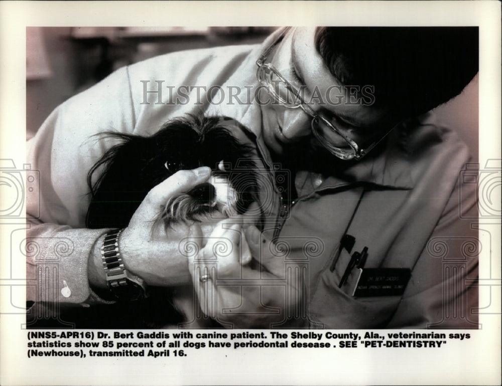 1993 Press Photo Dr Bert Gaddis,canine dentist - RRW62473 - Historic Images