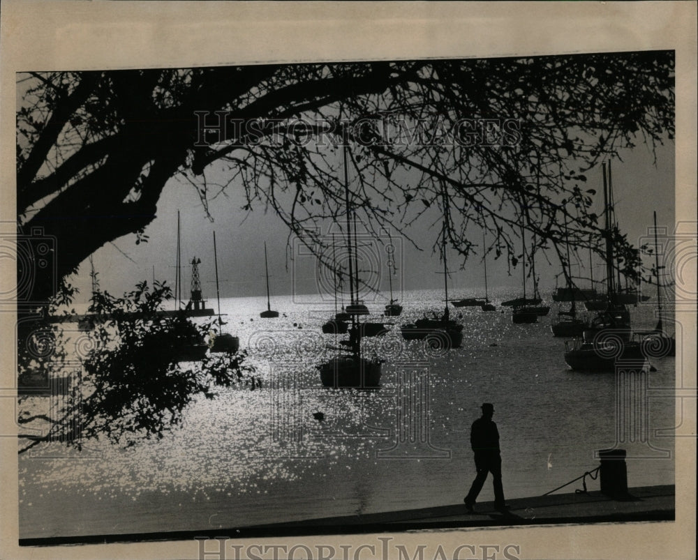 1976 Press Photo Person Walking Along Monroe Harbor - RRW63471 - Historic Images