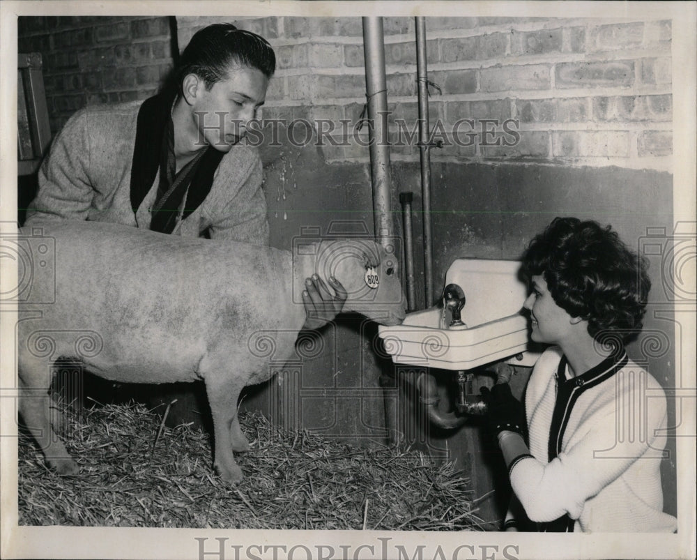 1962 Press Photo Peggy Robbins Helps Cotton the Lamb - RRW64005 - Historic Images