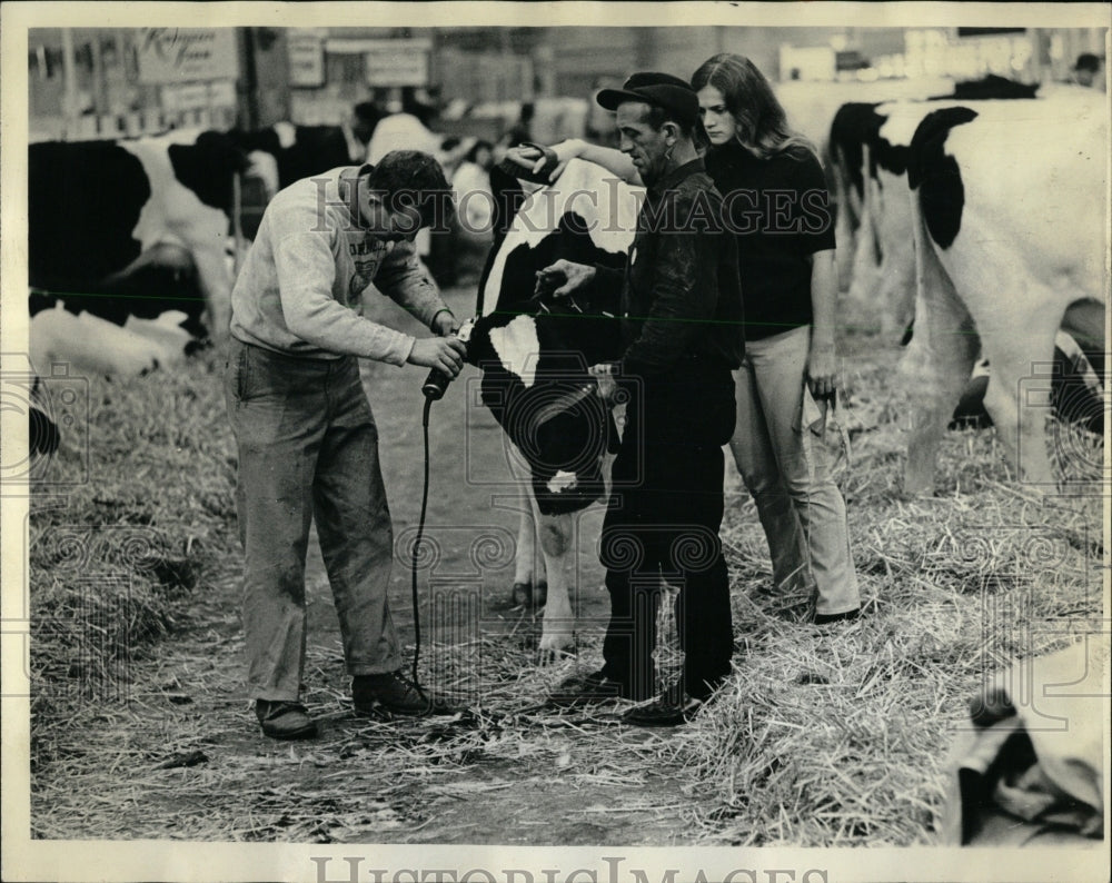 1966 Press Photo Hammond and Hudson Groom Holstein - RRW64021 - Historic Images