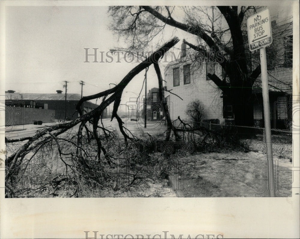 1985 Press Photo freezing rain. - RRW64271 - Historic Images