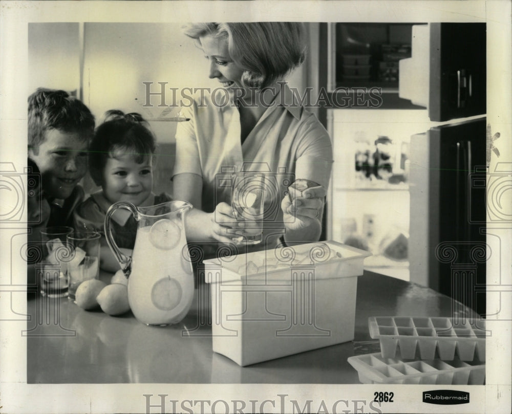 1966 Press Photo Ice Cube Bin By Rubbermaid - RRW64419 - Historic Images