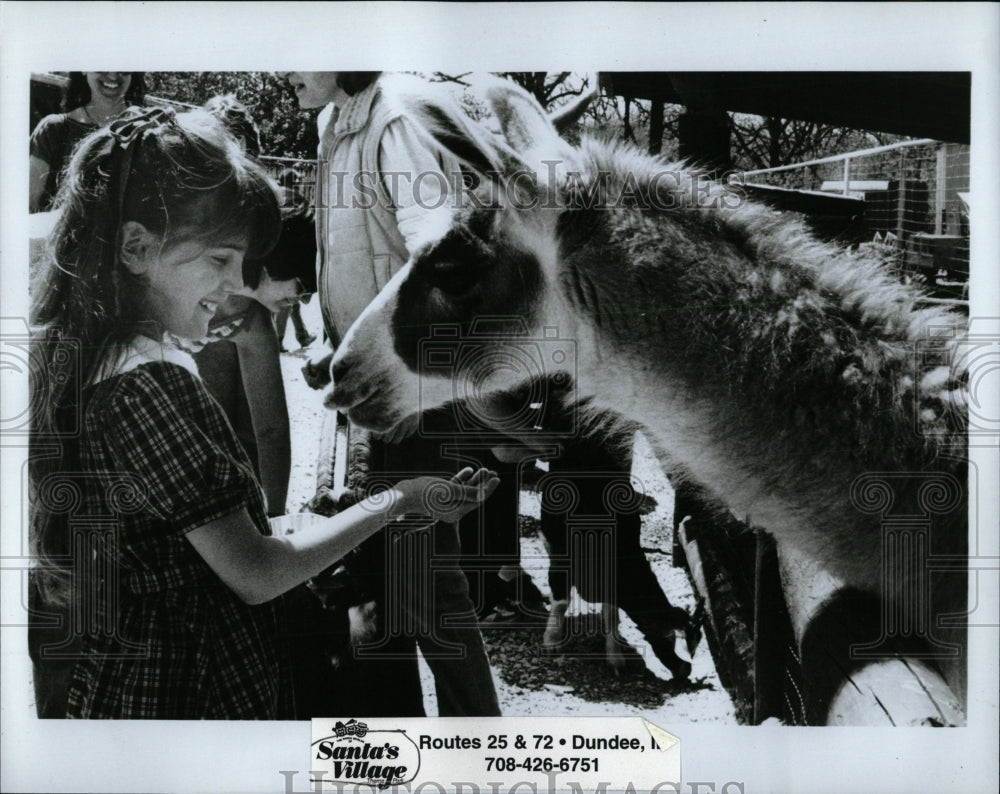 Press Photo Santa Village Routes Dundee Child Horse - RRW64789 - Historic Images