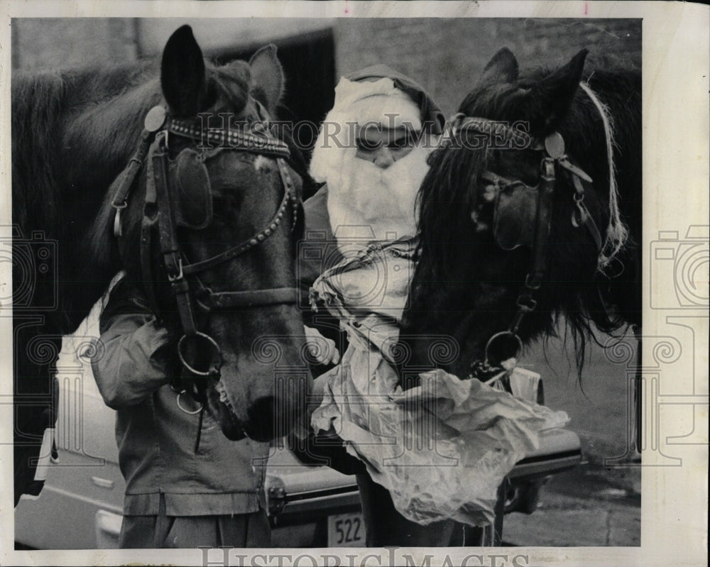 1977 Press Photo Queenie digs gift bags Santa Nellie - RRW64947 - Historic Images