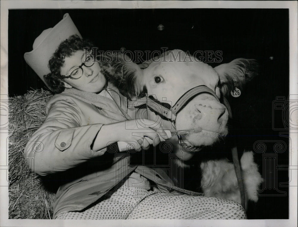 1951 Press Photo Jo Anne Brenizer horse polishes teeth - RRW65955 - Historic Images