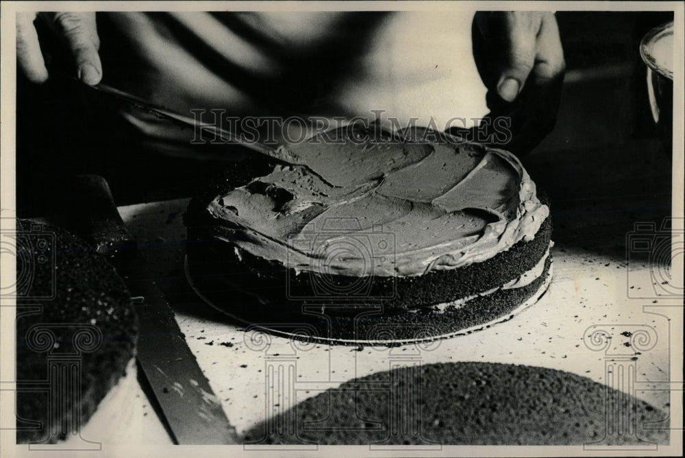 1980 Press Photo Chocolate Wedding Cake - RRW66017 - Historic Images