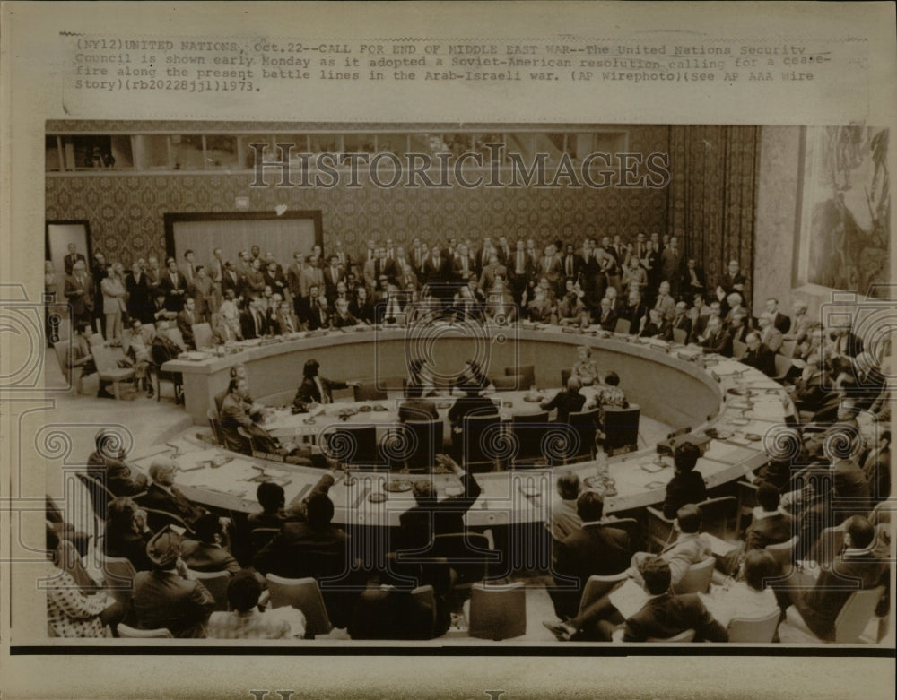 1973 Press Photo United Nations security Council Soviet - RRW66287 - Historic Images