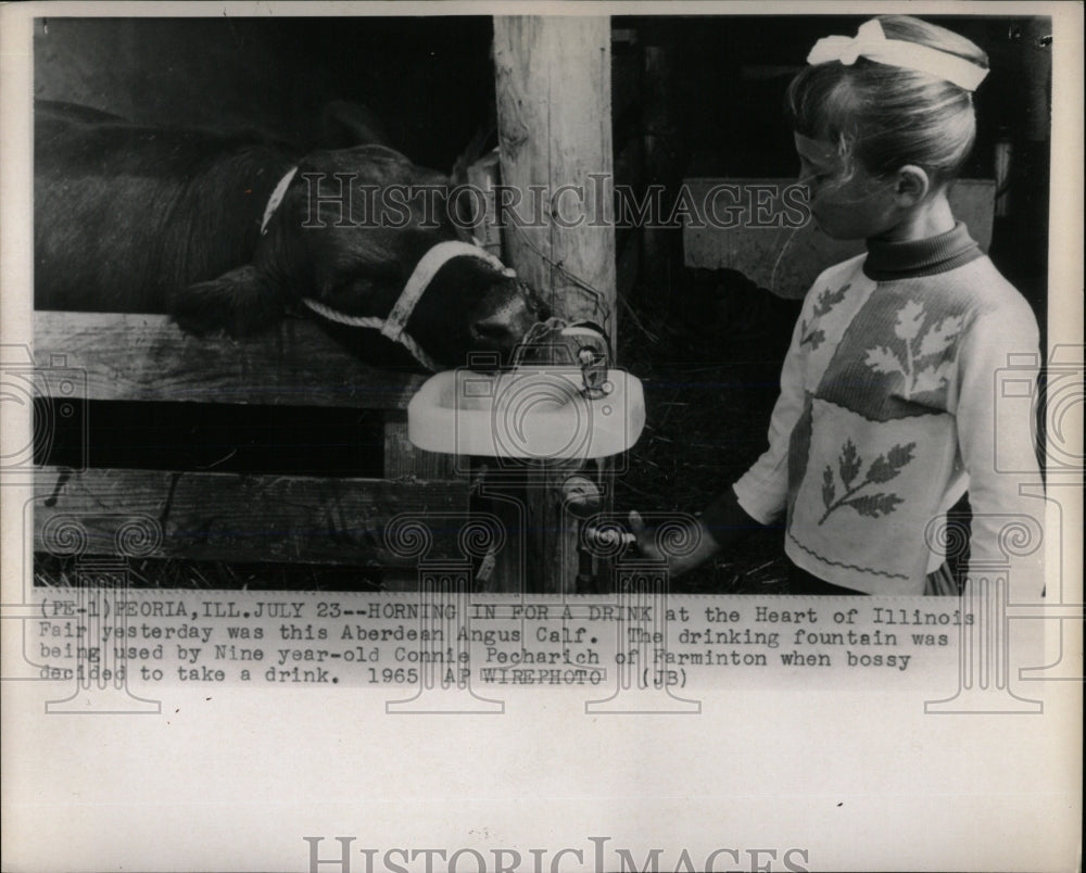 1965 Press Photo Illinois Fair Water Drinking Fountain - RRW66355 - Historic Images