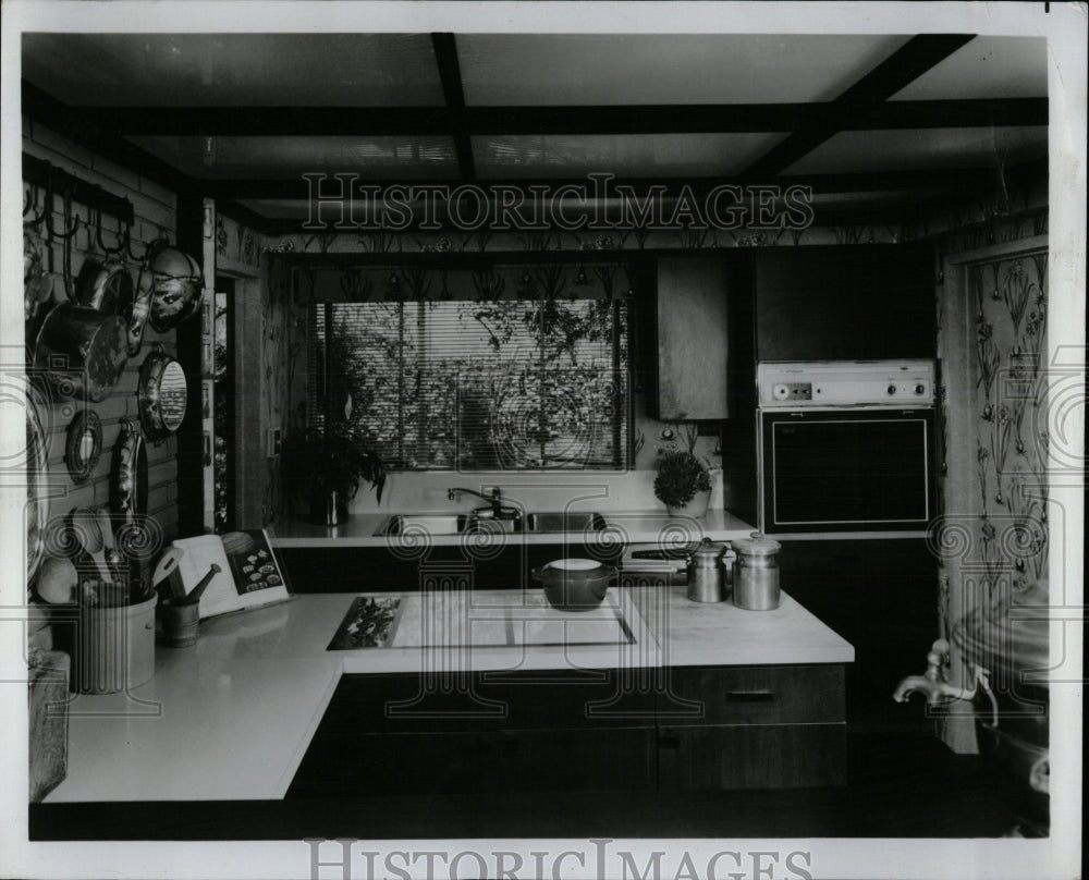 1978 Press Photo Spring bulb season Adorn Wallpaper - RRW66361 - Historic Images