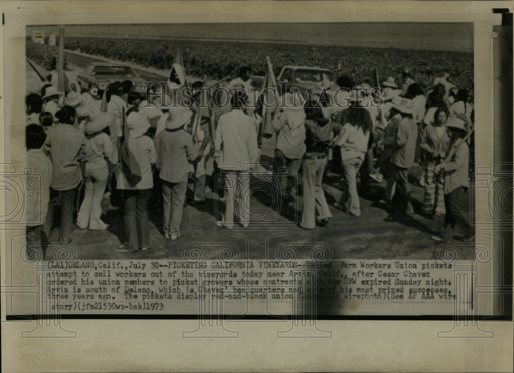 1973 Press Photo Picketing California Vineyard Worker - RRW67033 - Historic Images