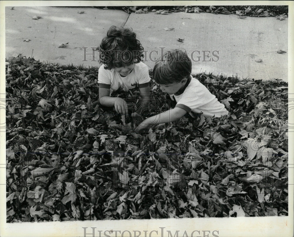 1979 Press Photo Autumn - RRW67851 - Historic Images