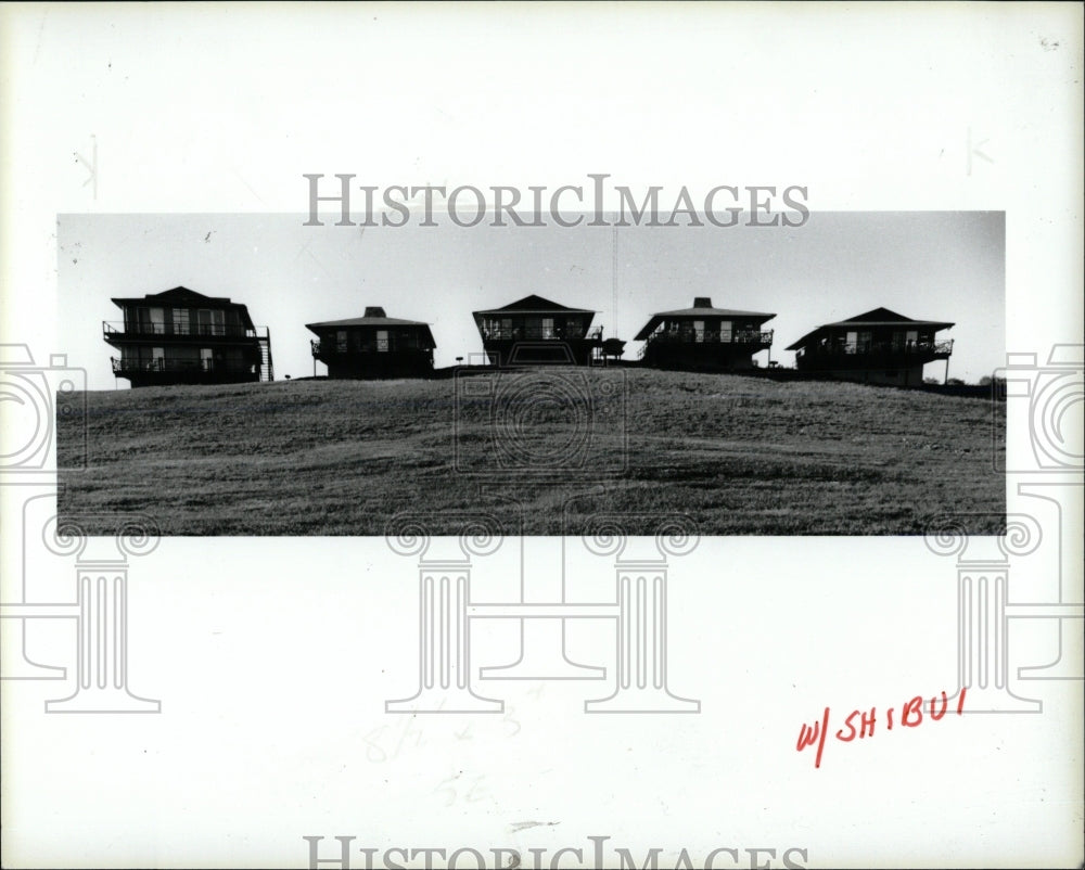1985 Press Photo Michigan Cities Miro Oriental Cottage - RRW68091 - Historic Images