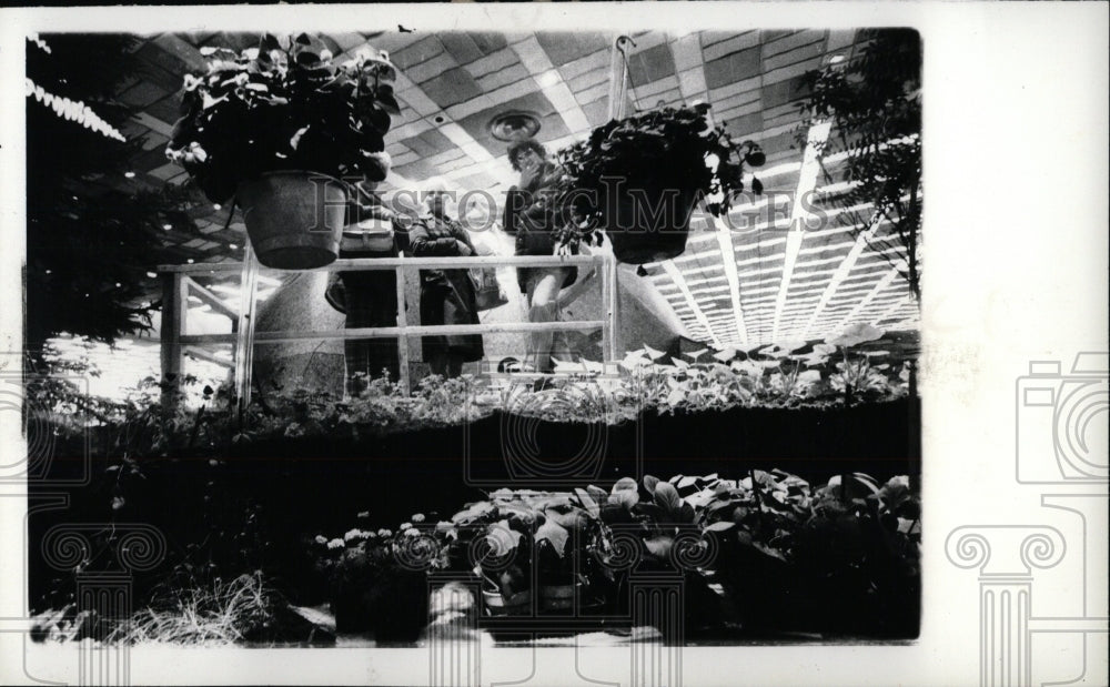 1980 Press Photo Flower Show Detroit News Greenhouse - RRW69369 - Historic Images