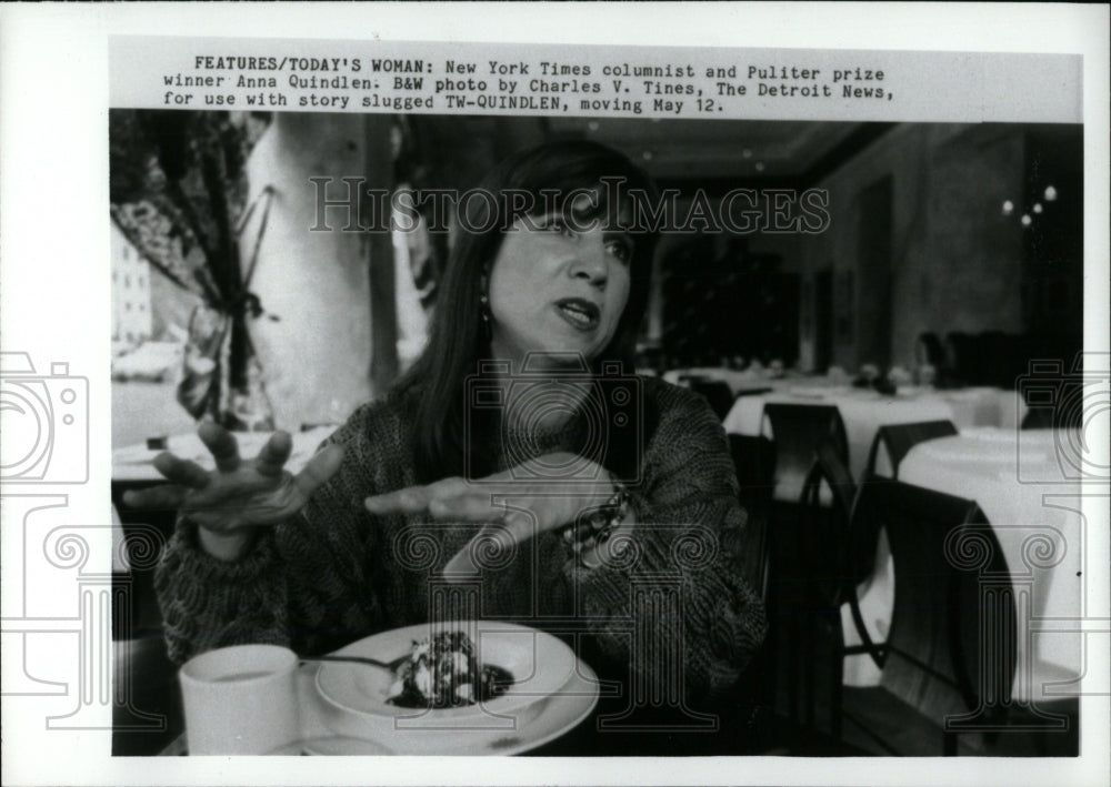 1993 Press Photo Anna Quindlen New York Times Columnist - RRW69571 - Historic Images