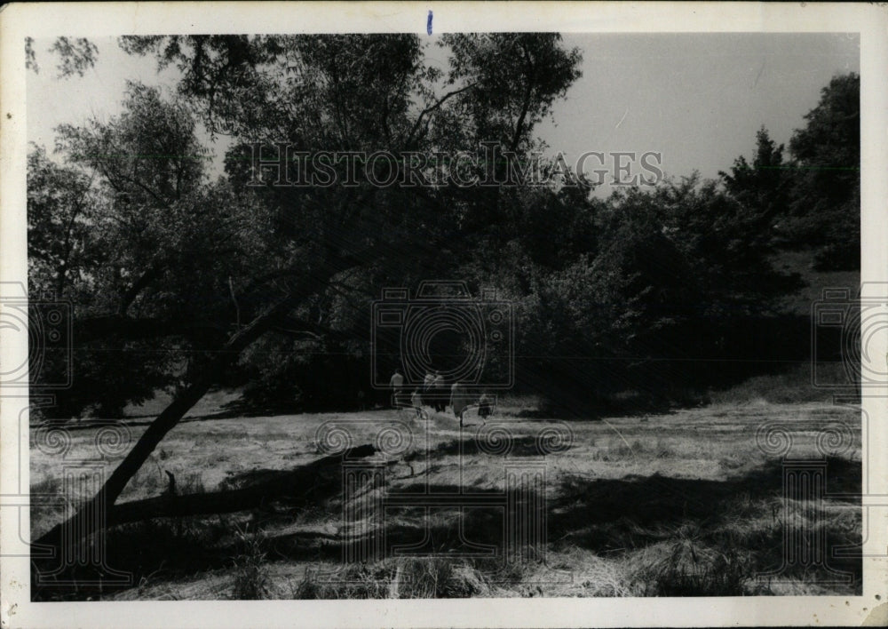 1969 Press Photo The Windings of Ferson Creek - RRW69767 - Historic Images