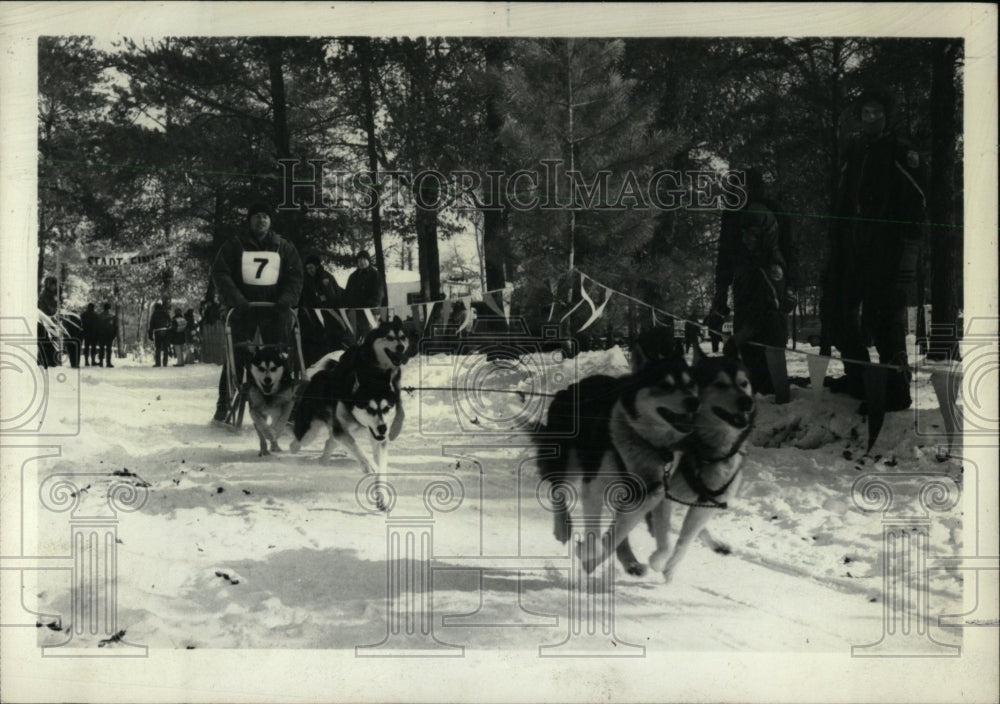 1978 Press Photo Sled Dog Race Michigan Alasks - RRW69849 - Historic Images